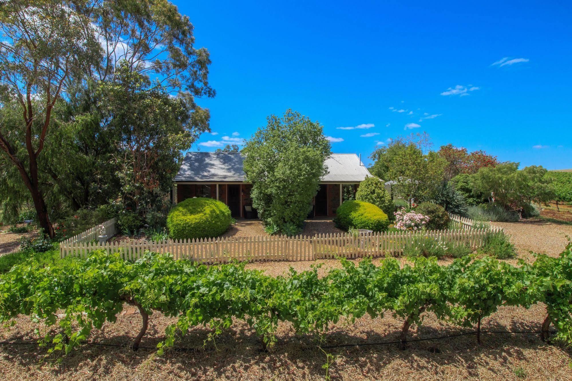 Stonewell Cottages And Vineyards Tanunda Exterior foto